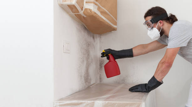 Professional Crawl Space Mold Remediation technician working in White Mills, KY